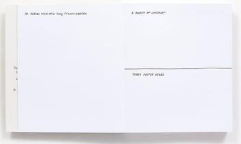 Паперова книга «Draw Every Day, Draw Every Way (Guided Sketchbook)», автор Дженніфер Льюїс - фото №4 - мініатюра