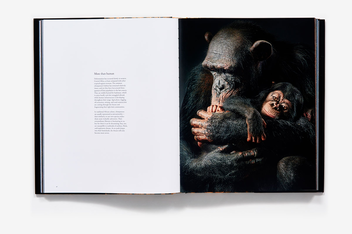 Бумажная книга «Endangered», автор Тим Флэк - фото №7 - миниатюра