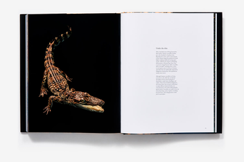 Бумажная книга «Endangered», автор Тим Флэк - фото №9 - миниатюра