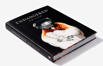 Бумажная книга «Endangered», автор Тим Флэк - фото №3 - миниатюра