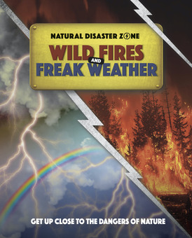 Паперова книга «Wildfires and Freak Weather», автор Бен Хаббард - фото №1 - мініатюра