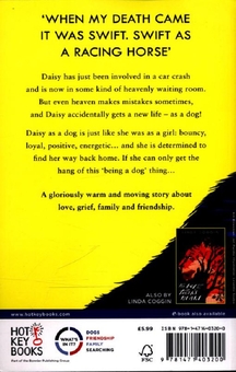 Бумажная книга «The Dog, Ray», автор Линда Коггин - фото №2 - миниатюра