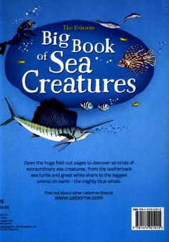 Бумажная книга «Big Book of Sea Creatures», автор Минна Лейси - фото №2 - миниатюра