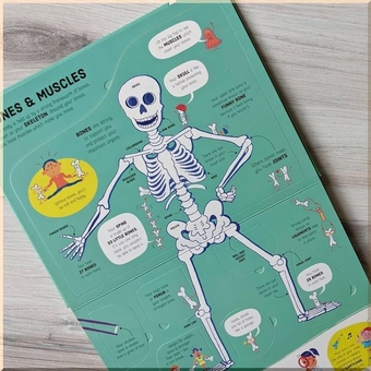 Бумажная книга «Lift-the-Flap How Your Body Works», автор Рози Диккинс - фото №3 - миниатюра