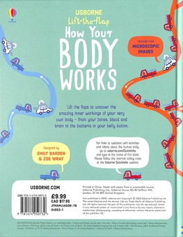 Бумажная книга «Lift-the-Flap How Your Body Works», автор Рози Диккинс - фото №2 - миниатюра