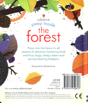 Паперова книга «Peep Inside a Forest», автор Анна Мілборн - фото №2 - мініатюра