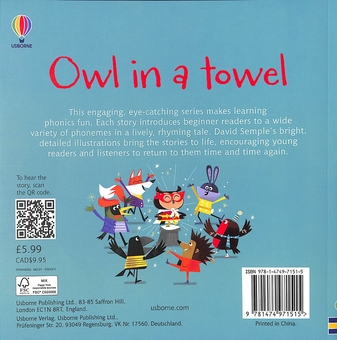 Бумажная книга «Owl in a Towel», автор Лесли Симс - фото №2 - миниатюра