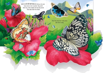 Паперова книга «Pop-Up Butterflies», автор Лаура Кован - фото №5 - мініатюра