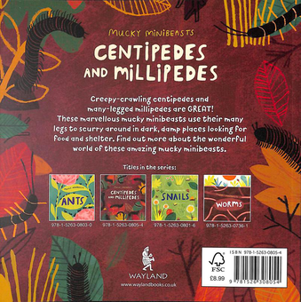 Бумажная книга «Centipedes and Millipedes», автор Сьюзи Уильямс - фото №2 - миниатюра
