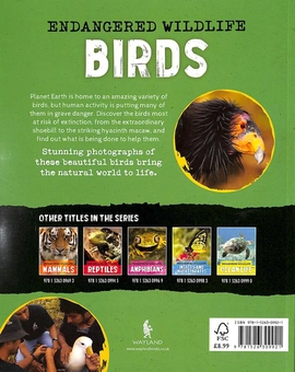 Паперова книга «Endangered Wildlife. Rescuing Birds», автор Аніта Ганері - фото №2 - мініатюра