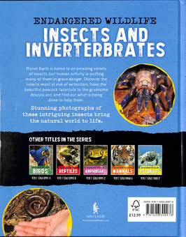 Паперова книга «Endangered Wildlife. Rescuing Insects and Invertebrates», автор Аніта Ганері - фото №2 - мініатюра