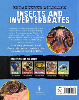 Бумажная книга «Rescuing Insects and Invertebrates», автор Анита Ганери - фото №2 - миниатюра