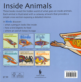 Бумажная книга «Inside Animals. Birds», автор Дэвид Уэст - фото №2 - миниатюра