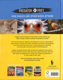 Бумажная книга «Predator vs Prey. How Eagles and other Birds Attack», автор Тим Харрис - фото №2 - миниатюра