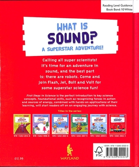 Бумажная книга «First Steps in Science. What is Sound?», автор Кей Барнем - фото №2 - миниатюра