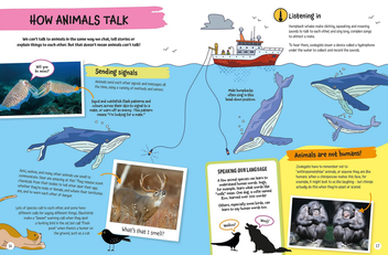 Бумажная книга «Science-ology! Zoology», автор Анна Клейборн - фото №2 - миниатюра