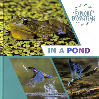 Паперова книга «Explore Ecosystems. In a Pond», автор Сара Рідлі - фото №1 - мініатюра
