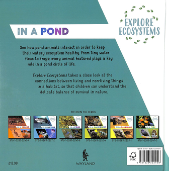 Паперова книга «Explore Ecosystems. In a Pond», автор Сара Рідлі - фото №2 - мініатюра