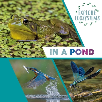 Бумажная книга «Explore Ecosystems: In a Pond», автор Сара Ридли - фото №1 - миниатюра