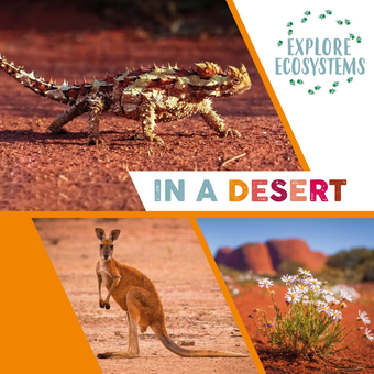 Паперова книга «Explore Ecosystems. In a Desert», автор Сара Рідлі - фото №1 - мініатюра