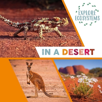 Бумажная книга «Explore Ecosystems: In a Desert», автор Сара Ридли - фото №1 - миниатюра