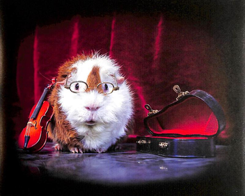 Бумажная книга «A Guinea Pig Nutcracker», автор Алекс Гудвин - фото №7 - миниатюра