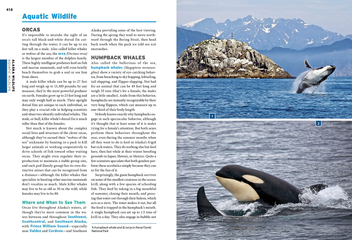 Бумажная книга «Moon Alaska», автор Лиза Мэлони - фото №9 - миниатюра