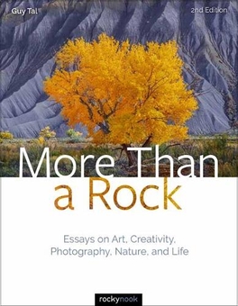 Бумажная книга «More Than A Rock», автор Гай Таль - фото №1 - миниатюра