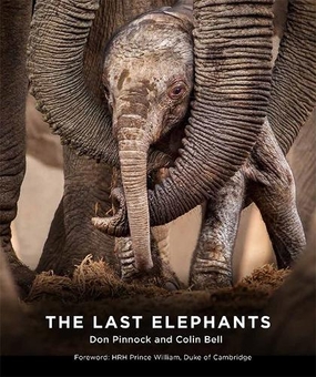 Бумажная книга «The Last Elephants», автор Колин Белл - фото №1 - миниатюра