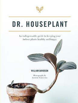 Бумажная книга «Dr. Houseplant. An indispensable guide to keeping your indoor plants healthy and happy», авторов Уильям Дэвидсон, Джейн Бленд - фото №1 - миниатюра