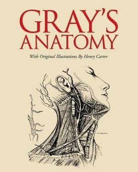 Бумажная книга «Grays Anatomy» - фото №1 - миниатюра