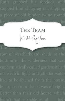 Паперова книга «The Team», автор Кетлін Венді Геральд - фото №1 - мініатюра