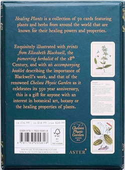 Бумажная книга «Healing Plants: 50 botanical cards illustrated by the pioneering herbalist Elizabeth Blackwell» - фото №2 - миниатюра
