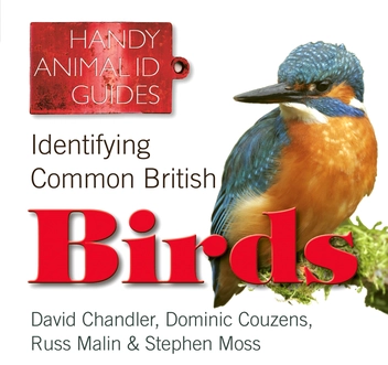 Бумажная книга «Identifying Common British Birds» - фото №2 - миниатюра