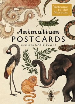 Бумажная книга «Animalium Postcards» - фото №1 - миниатюра