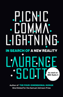 Бумажная книга «Picnic Comma Lightning. In Search of a New Reality», автор Лоуренс Скотт - фото №1 - миниатюра