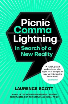 Бумажная книга «Picnic Comma Lightning. In Search of a New Reality», автор Лоуренс Скотт - фото №1 - миниатюра