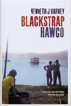 Бумажная книга «Blackstrap Hawco», автор Кеннет Дж. Харви - фото №1 - миниатюра