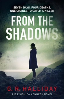 Бумажная книга «From the Shadows», автор Дж. Р. Холлидей - фото №1 - миниатюра