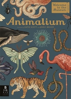 Бумажная книга «Animalium», автор Дженни Брум - фото №1 - миниатюра
