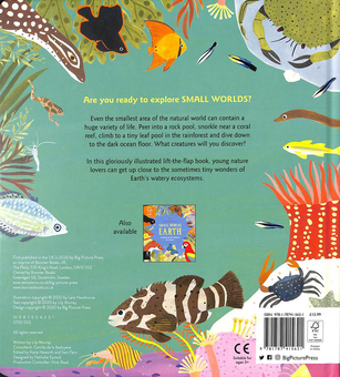 Паперова книга «Small Worlds. Water», автор Лілі Мюррей - фото №2 - мініатюра