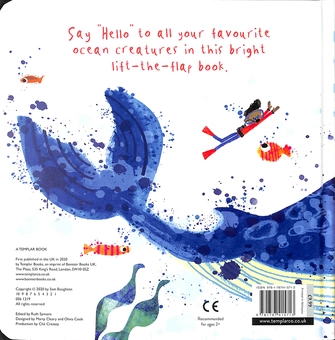 Паперова книга «Hello, Mr Whale!», автор Сем Боутон - фото №2 - мініатюра