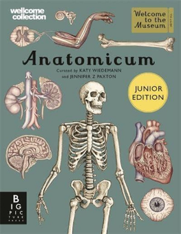 Паперова книга «Anatomicum Junior», автор Дженніфер Пакстон - фото №1 - мініатюра