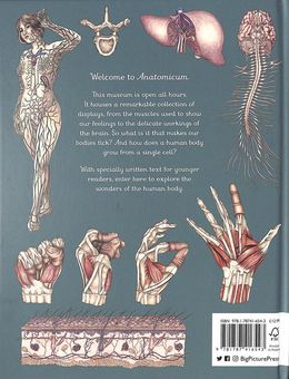 Паперова книга «Anatomicum Junior», автор Дженніфер Пакстон - фото №2 - мініатюра