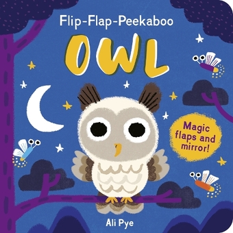 Паперова книга «Flip-Flap-Peekaboo: Owl», автор Ді Костелло - фото №1 - мініатюра