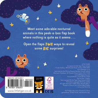 Паперова книга «Flip-Flap-Peekaboo: Owl», автор Ді Костелло - фото №2 - мініатюра