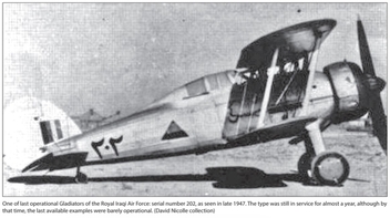 Бумажная книга «Air Power and The Arab World 1909-1955. Volume 9. The Arab Air Forces and a New World Order, 1946-1948», авторов Дэвид Николл, Габр Али Габр - фото №3 - миниатюра