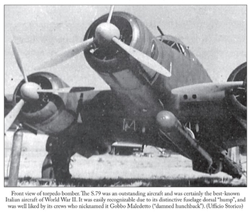 Бумажная книга «Damned Hunchbacks. Italy’s Forgotten Torpedo Bomber Units of the Second World War (1940-1943)», автор Паоло Мориси - фото №5 - миниатюра