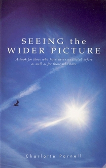 Паперова книга «Seeing The Wider Picture», автор Шарлотта Парнелл - фото №1 - мініатюра
