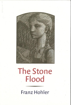 Паперова книга «The Stone Flood», автор Франц Холер - фото №1 - мініатюра